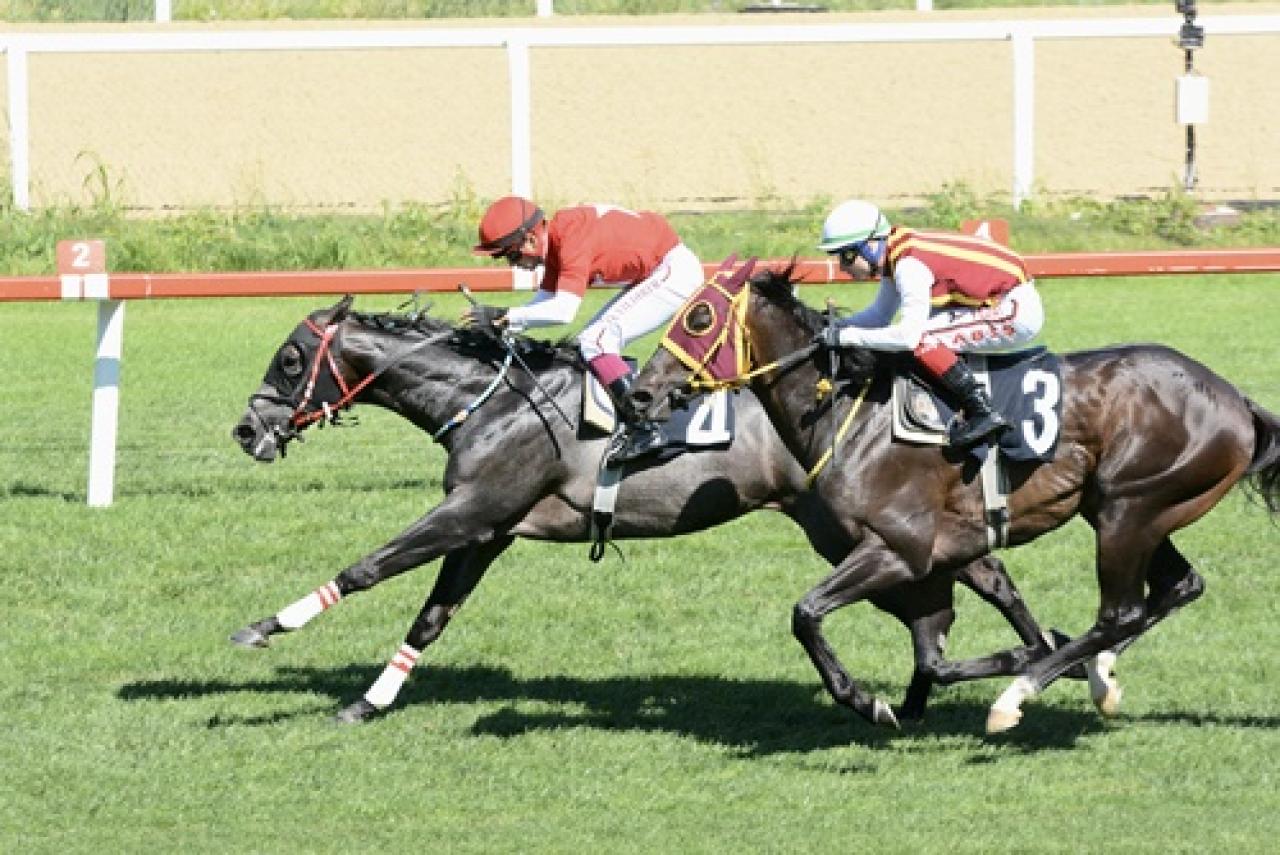 Mehmet Akar Koşusu'nda kazanan Bold Lion oldu