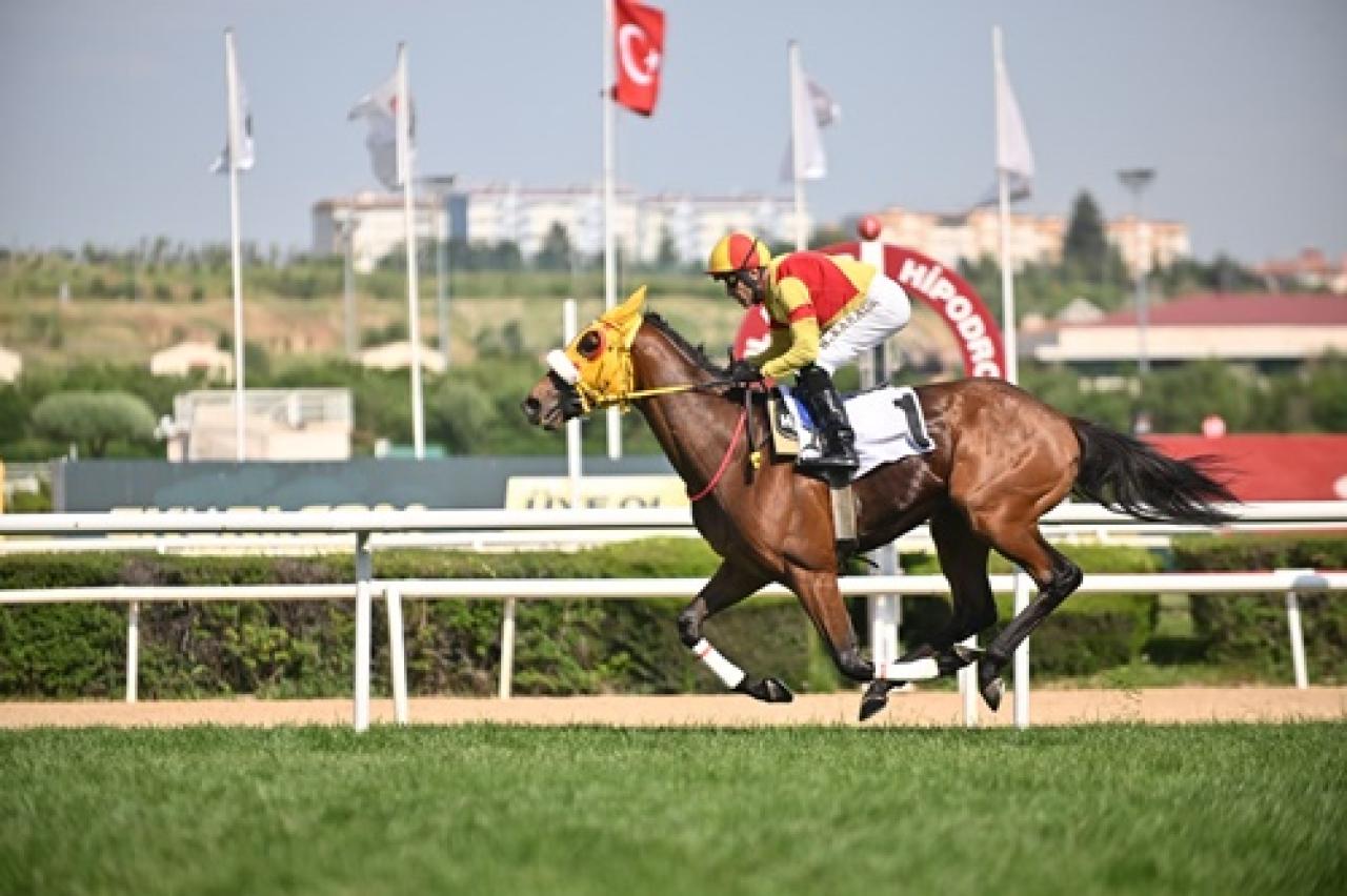 Mehmet Akif Ersoy Koşusu’nu Bay Nalçakan pist rekoru kırarak kazanmayı başardı