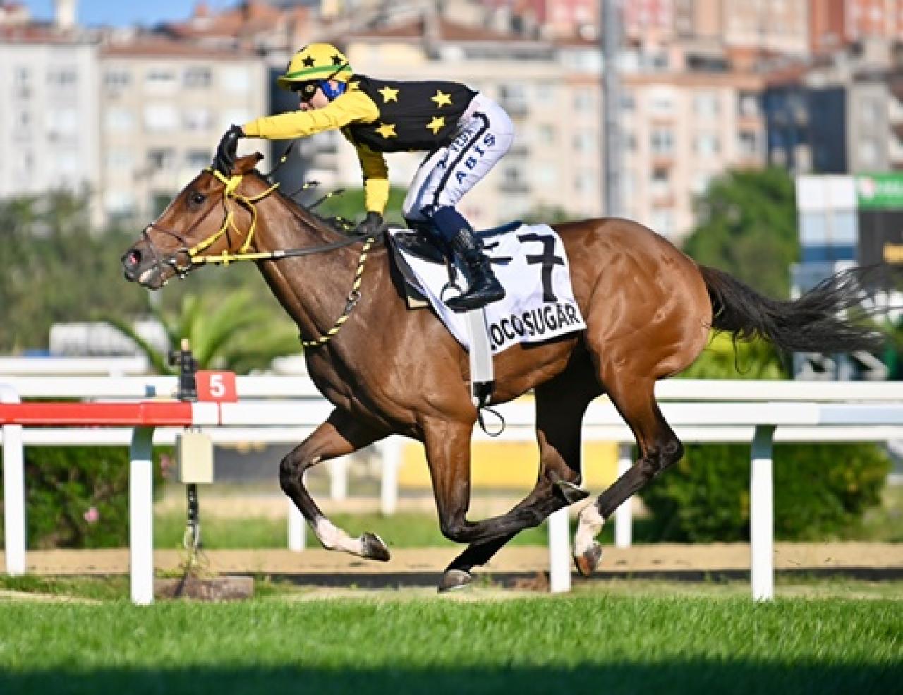 71. Kısrak Koşusu’nda zaferin adı Loco Sugar
