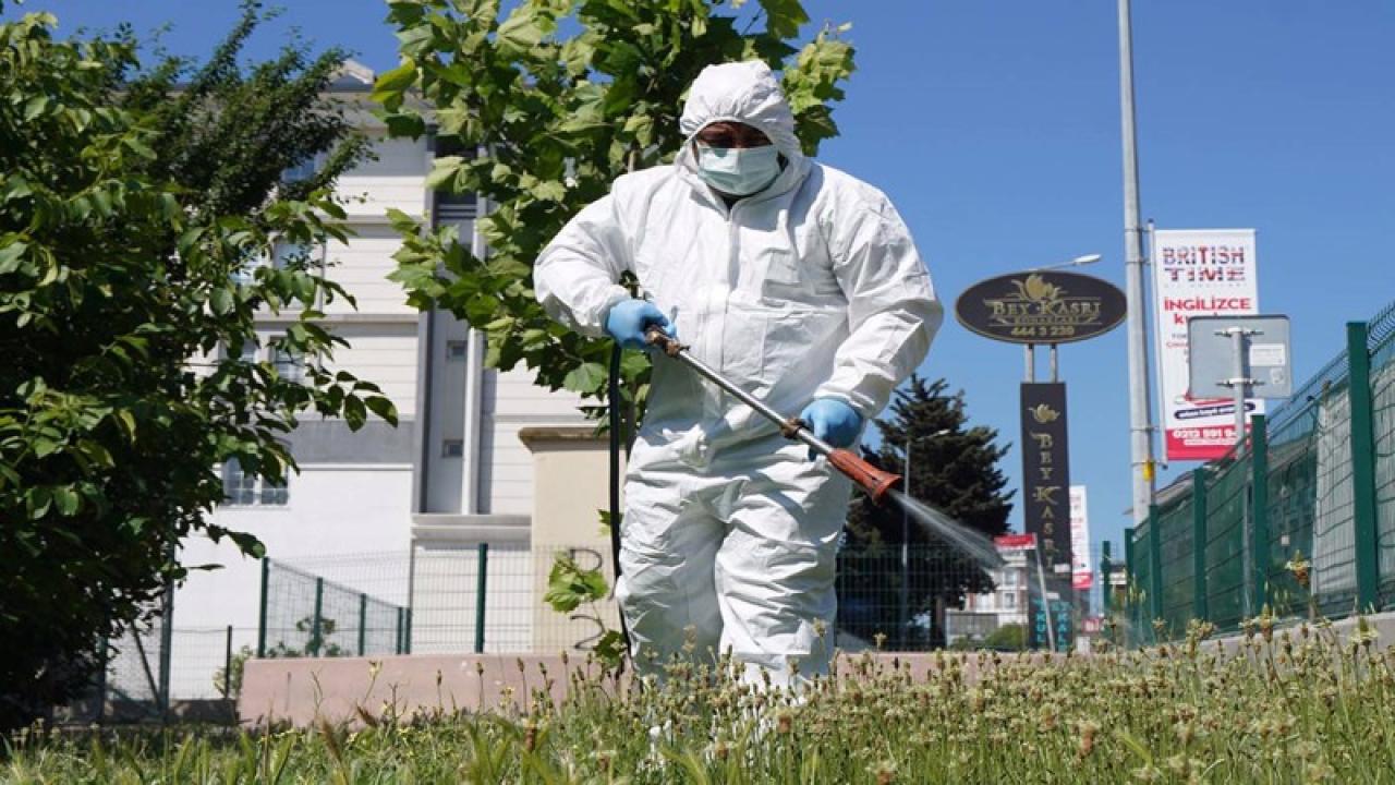 BEYLİKDÜZÜ’NDE HAŞERELERE KARŞI ETKİN MÜCADELE