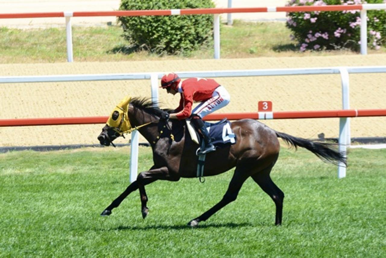 Korean Racing Authority Koşusu'nda kazanan Rock Of Beautiful