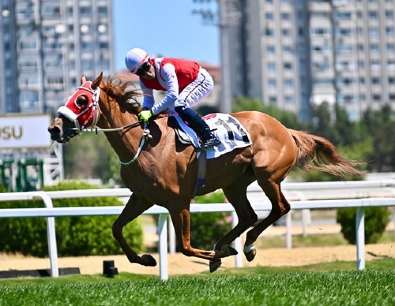 Bilyoner Kocatepe Koşusu'nu Etsuko kazandı