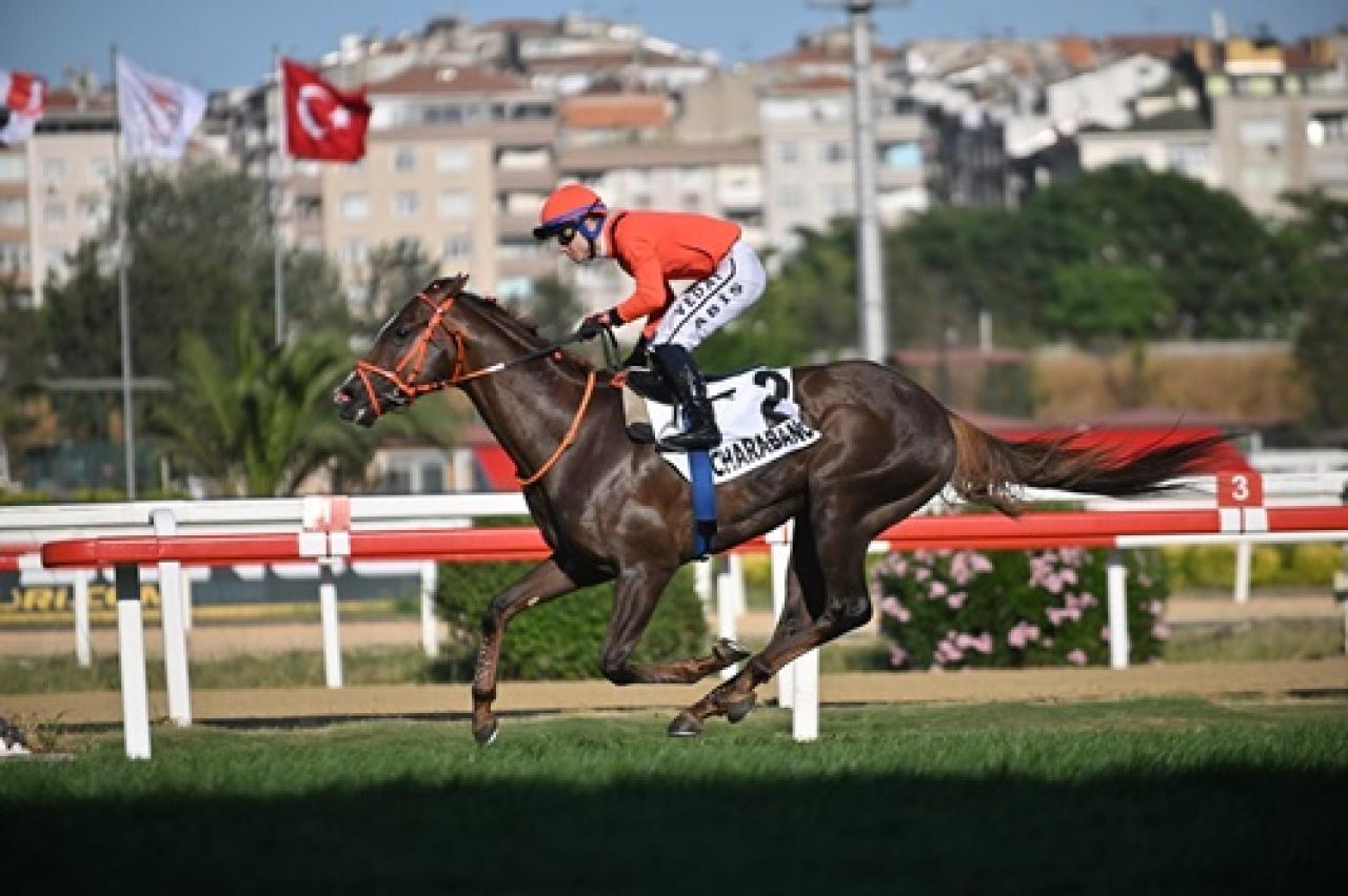 Haliç Koşusu’nda zaferin adı Charabanc oldu