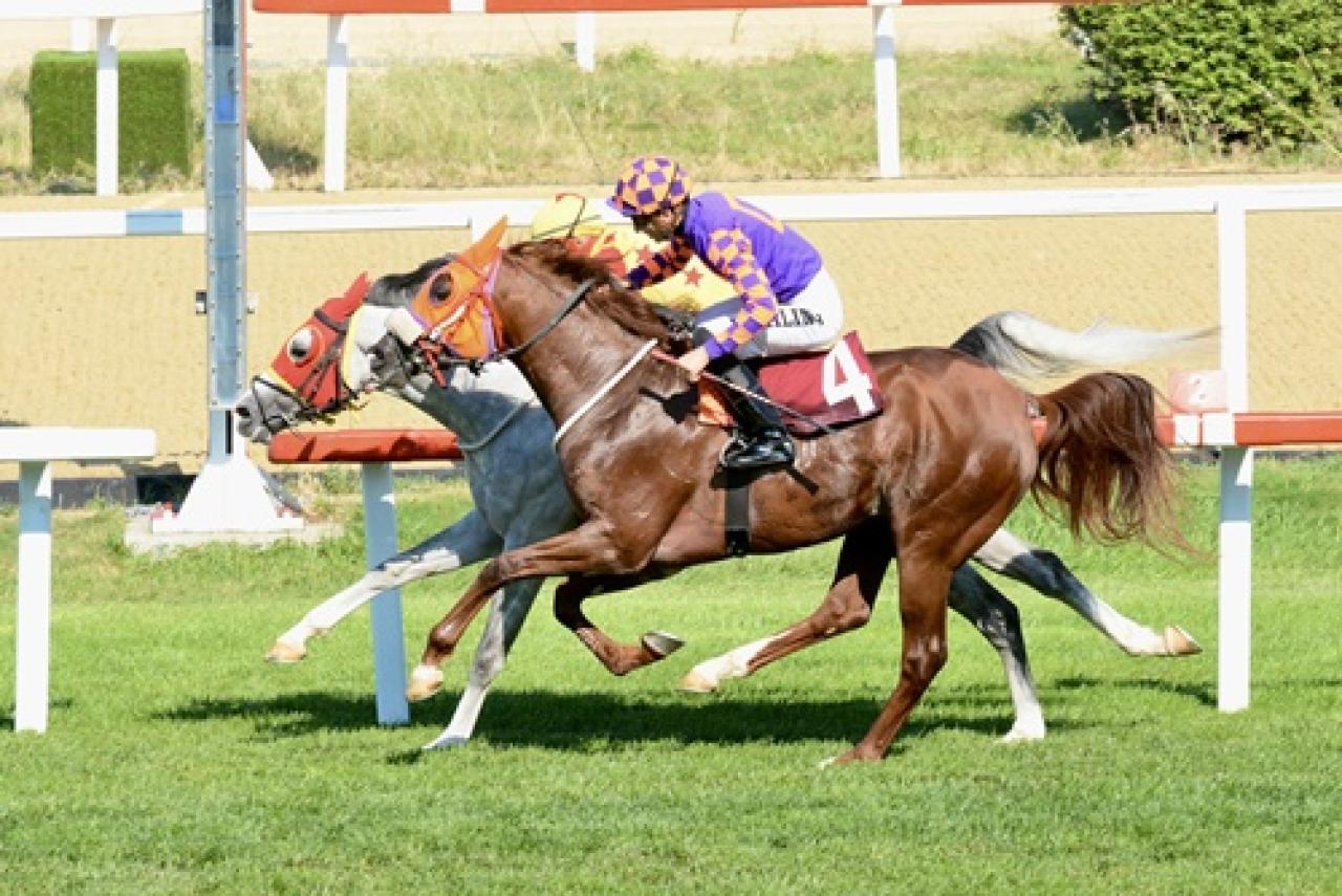 İhsan Atçı Koşusu'nu Asil Oğlan kazandı