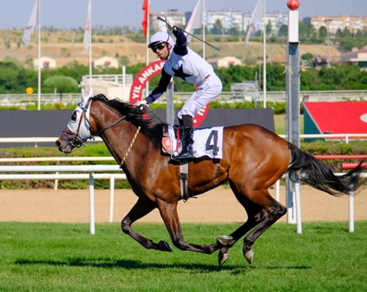 Fevzi Çakmak Koşusu'nu Handsome King kazandı