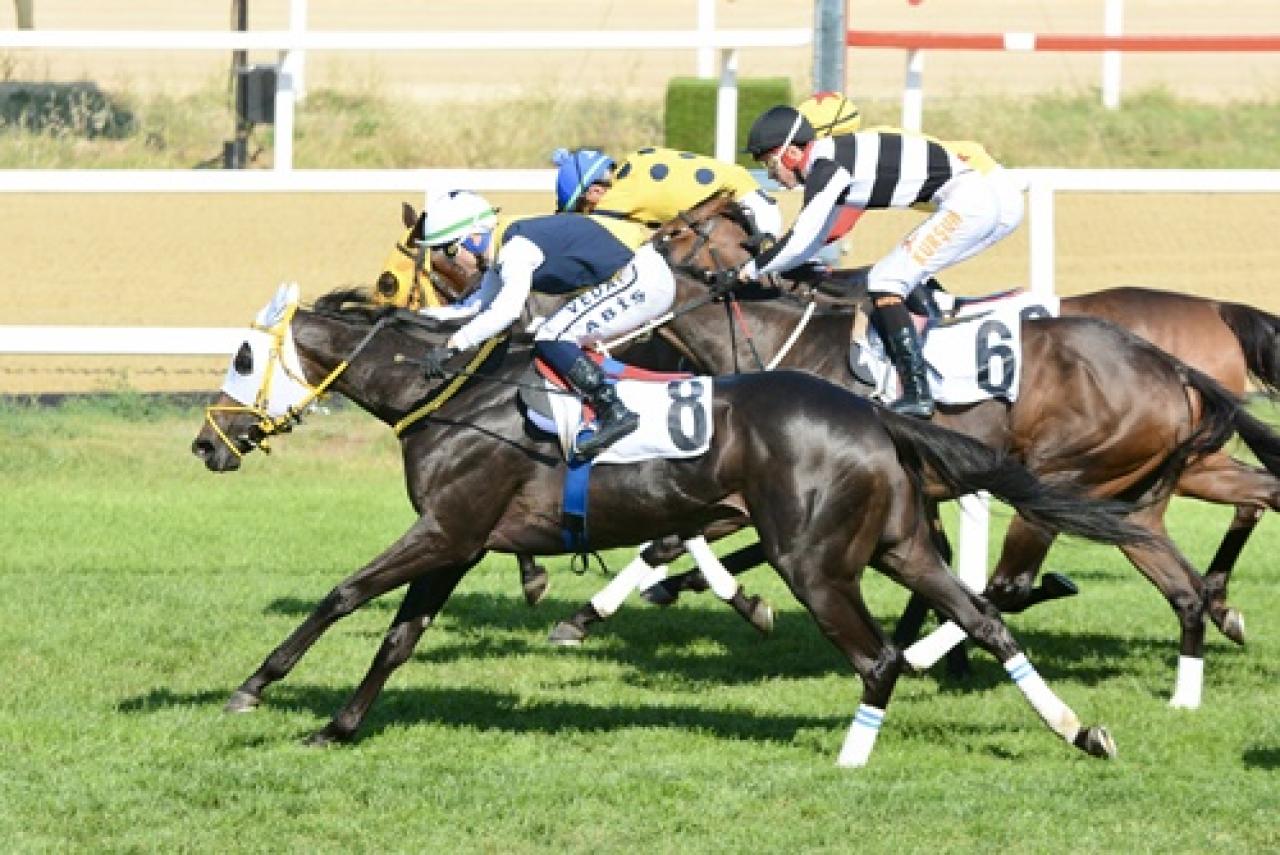 Özdemir Atman Koşusu'nu Star Runner kazandı