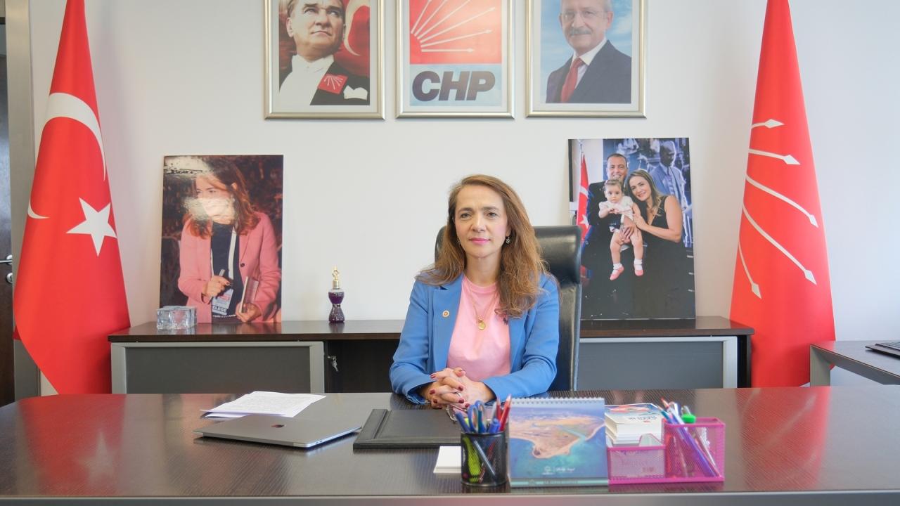 Gamze Akkuş İlgezdi: 