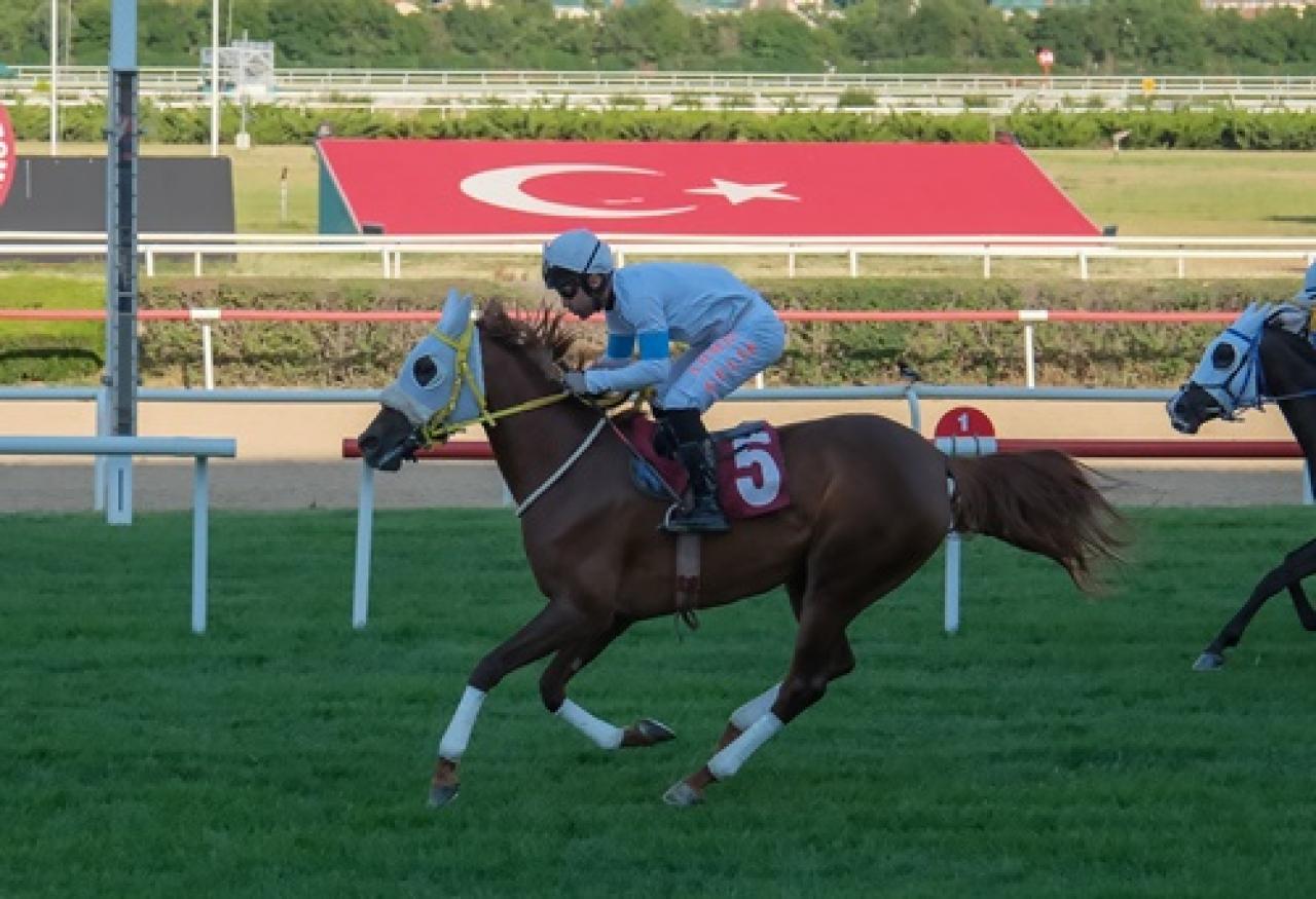 Necati Ünsal Koşusu’nda kazanan Şukela oldu