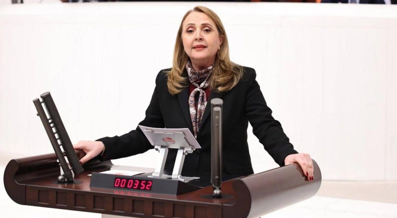 Semra Dinçer: “Kadın Cinayetleri Siyasi Bir Tercihin Sonucudur”