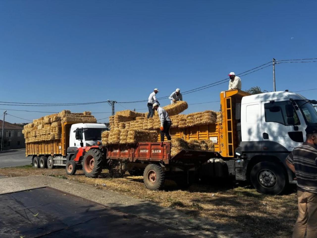Silivri Belediyesi'nden Üreticilere Saman Balyası Desteği