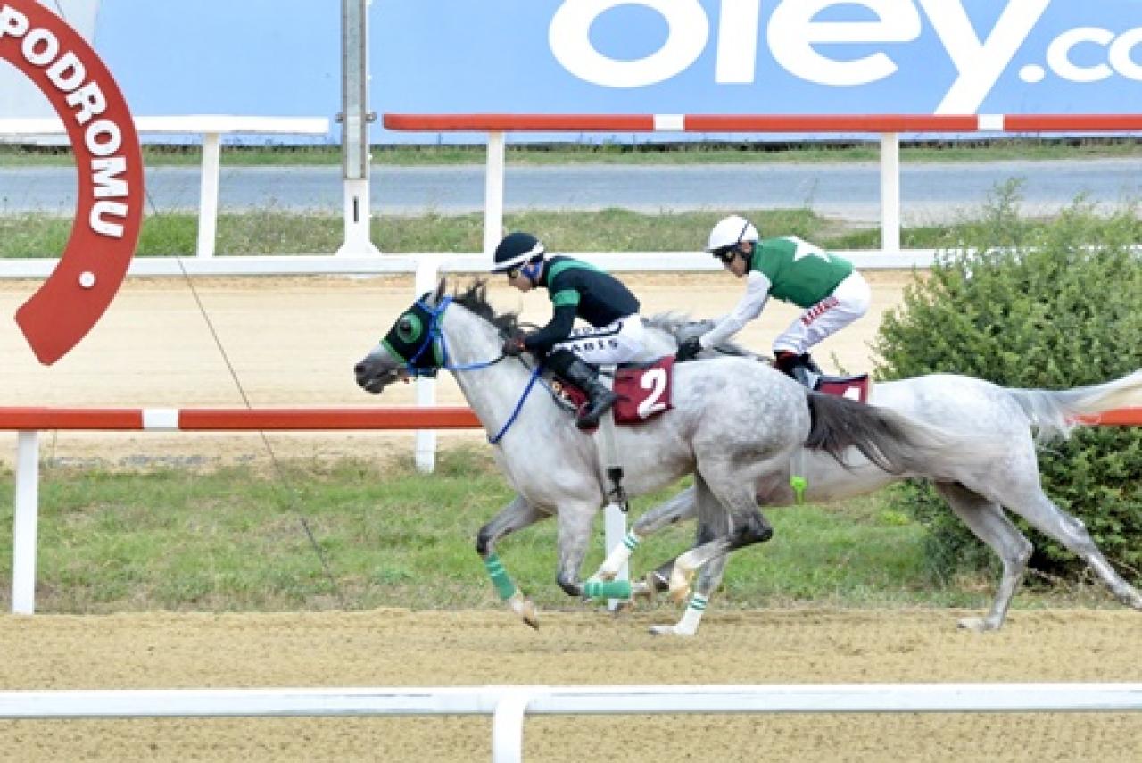 Safiyettin Sakarya Koşusu'nu Acun Tay kazandı