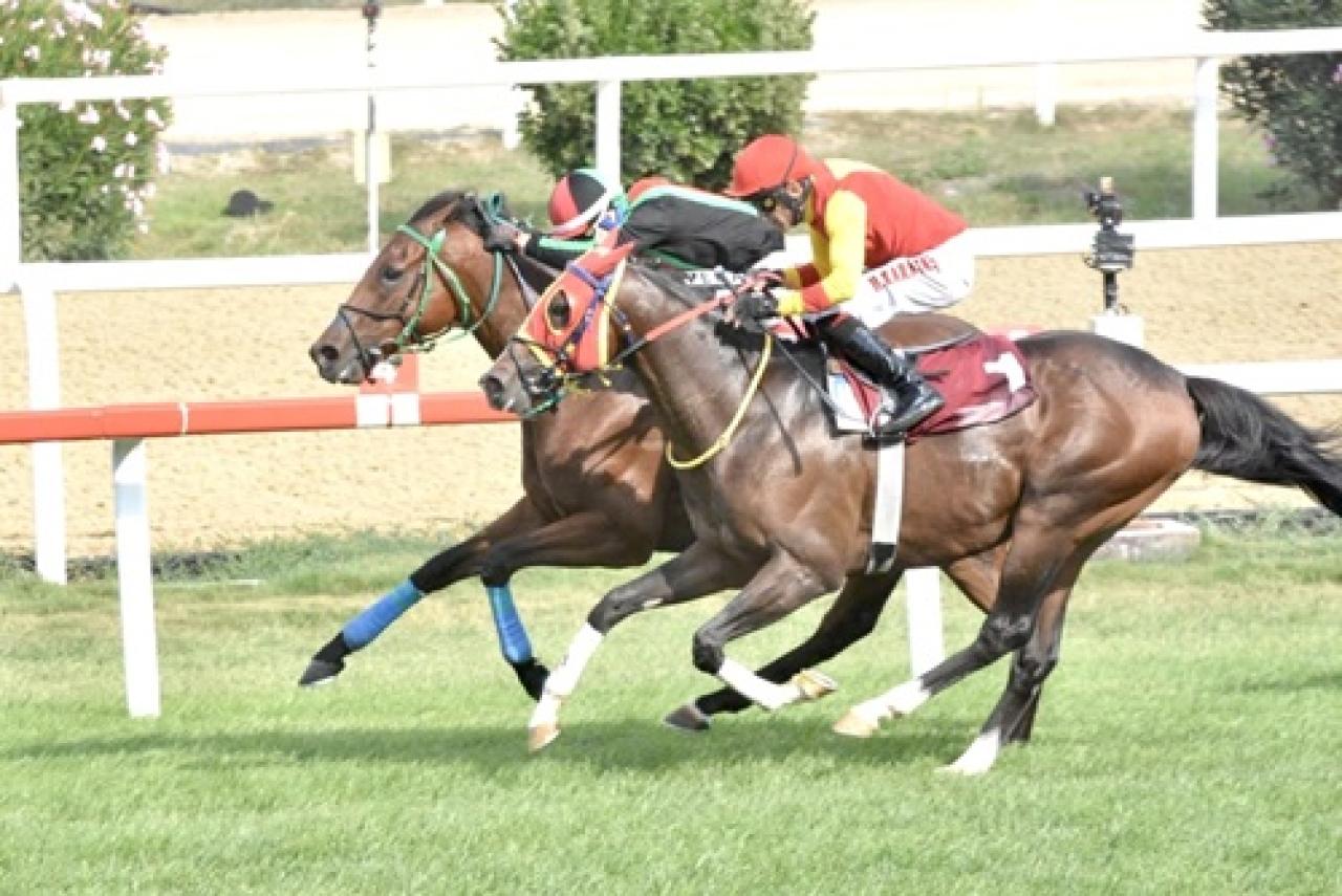 Sadettin Atığ Koşusu'nda kazanan Masterpiece oldu