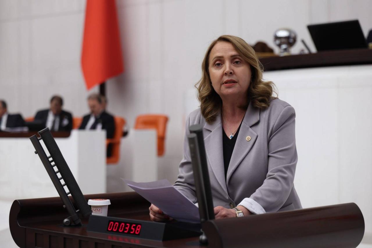 Semra Dinçer’den Bütçe Tepkisi: “Saray Harcarken Vatandaşa Kemer Sıkma Düşüyor”