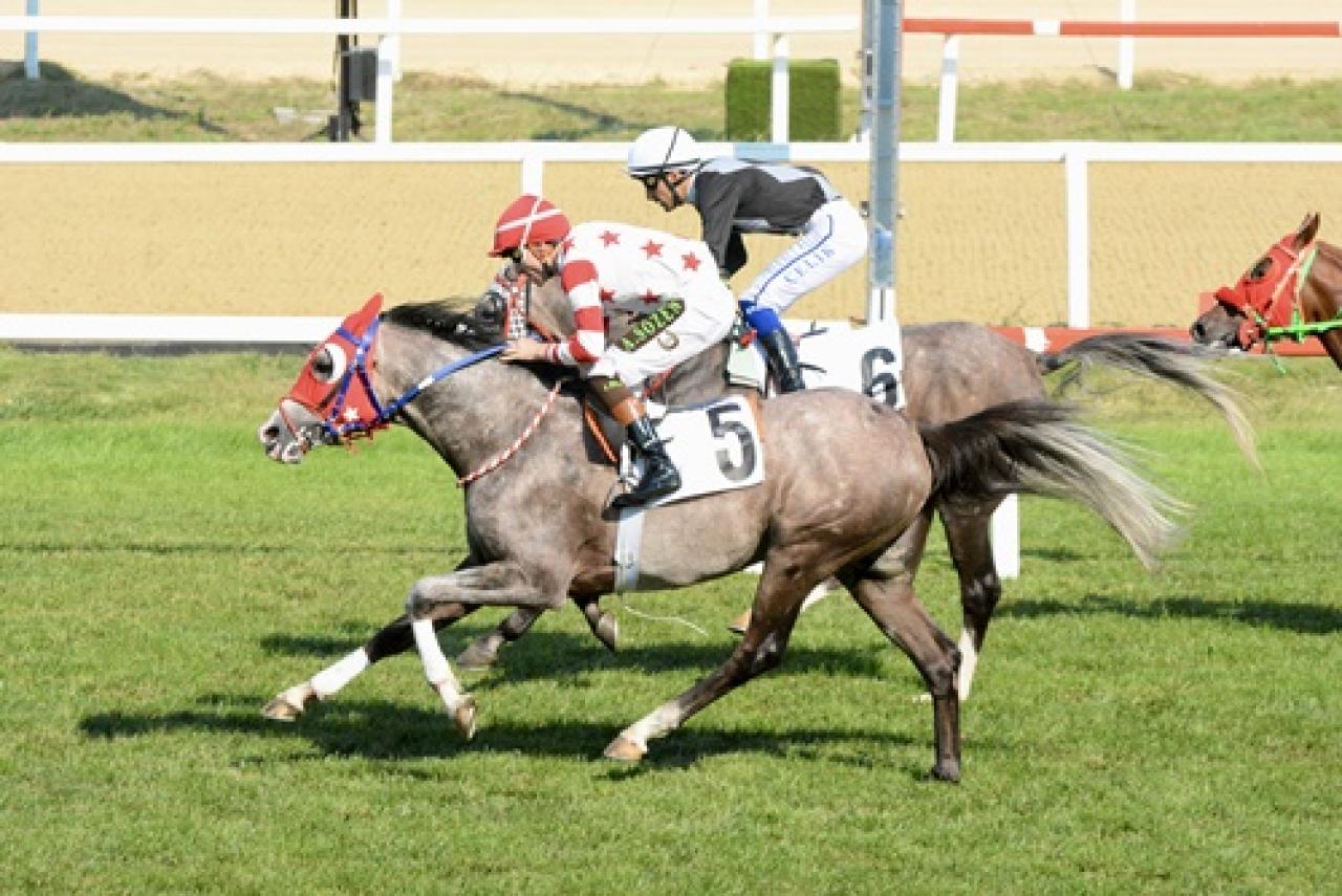 Aziziye Koşusu'nda birinciliğe Bodubey uzandı