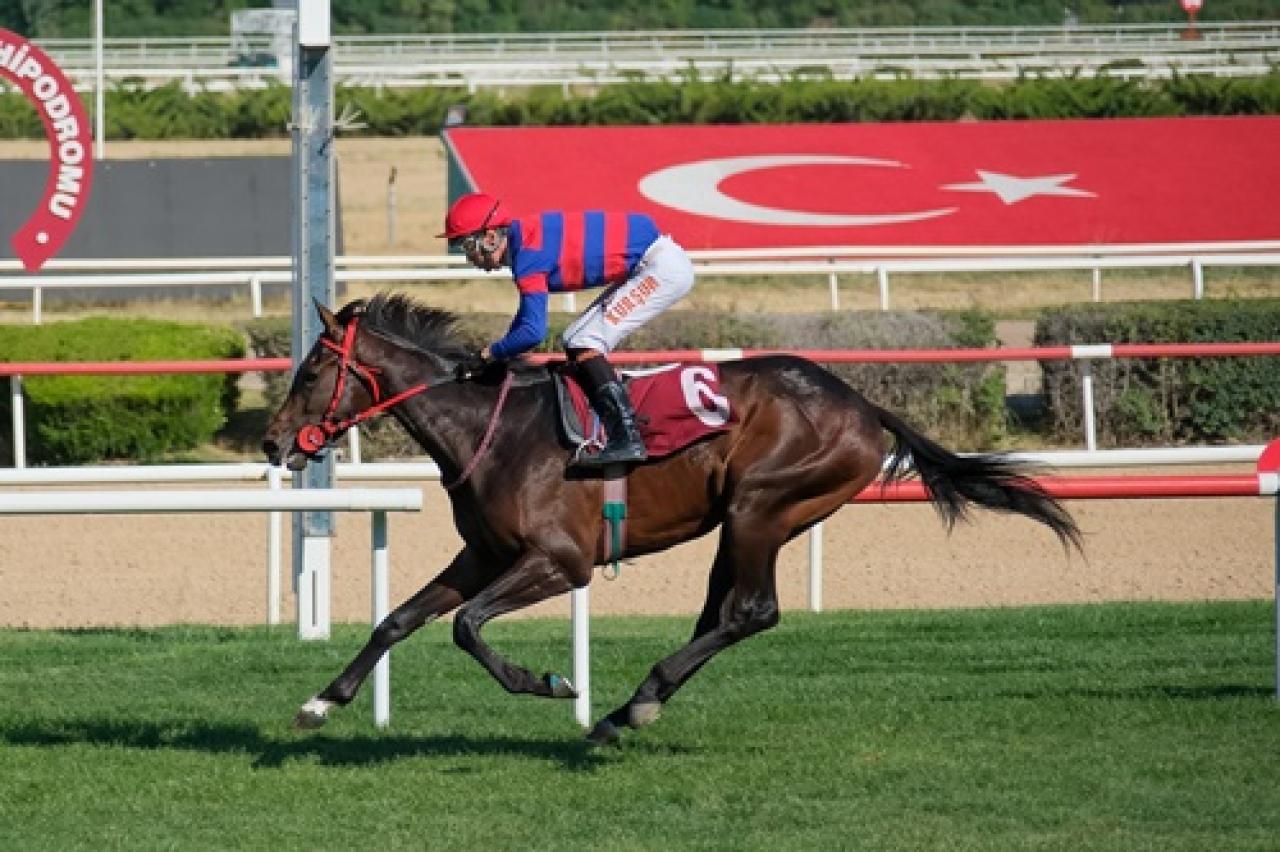 Yalçın Batur Koşusu'nu Victory Waltz kazandı