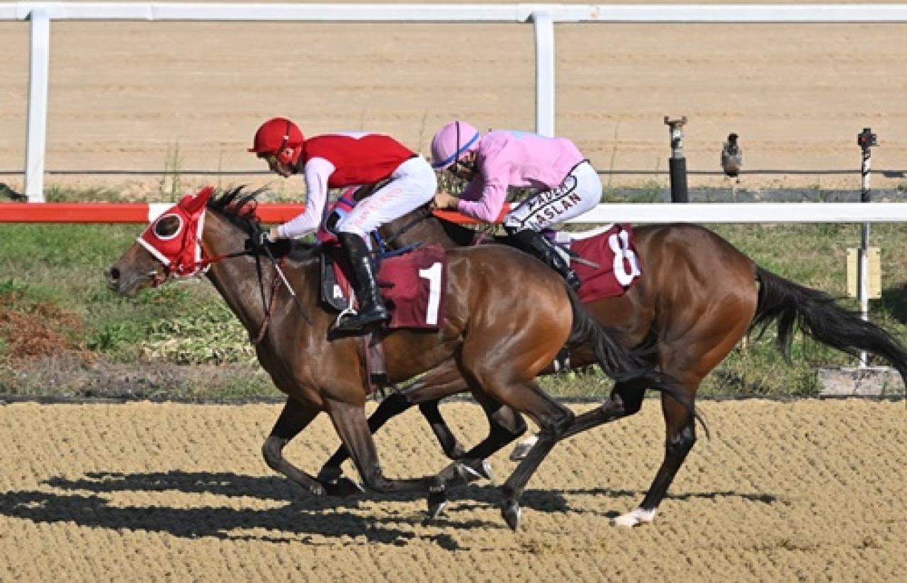 Sedat Üründül Koşusu'nda kazanan Theater Of War oldu
