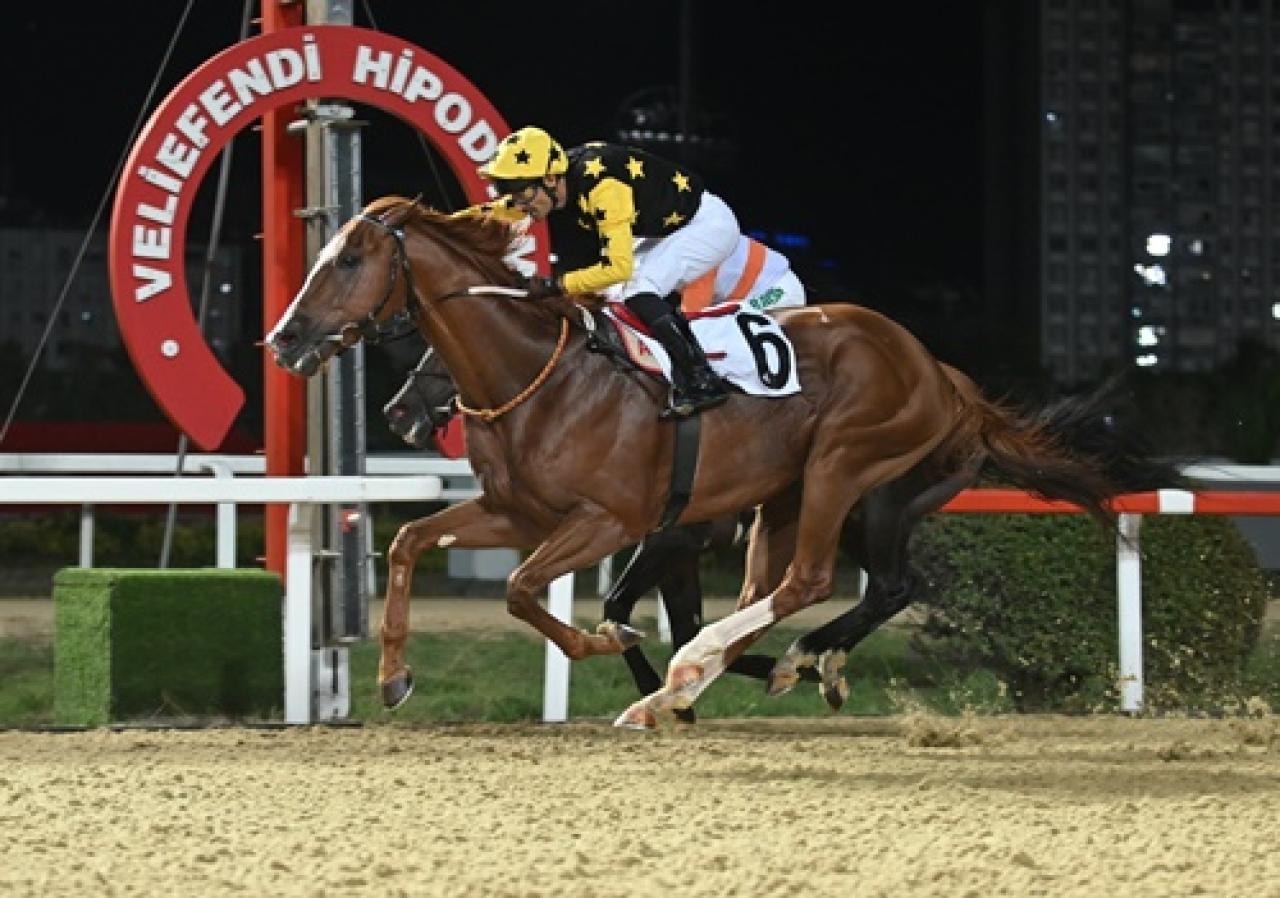 Uluslararası France Galop Anadolu Koşusu’nda galibiyete uzanan Poetry In Motion oldu