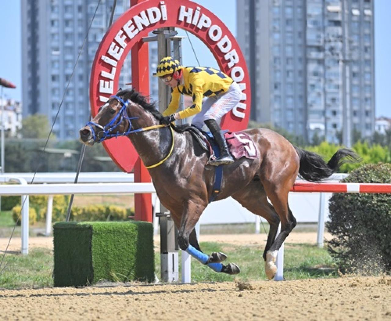 Bilyoner Koşusu'nu Tenacious Khan kazandı