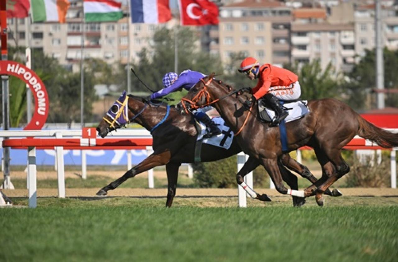 Uluslararası Topkapı Koşusu’nda zafere uzanan Whizbang oldu