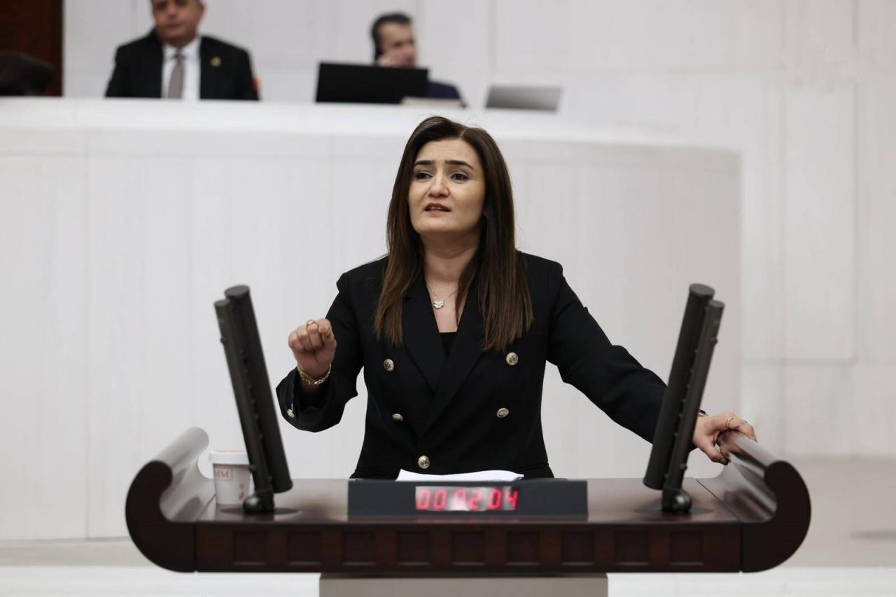 Sevda Erdan Kılıç: 