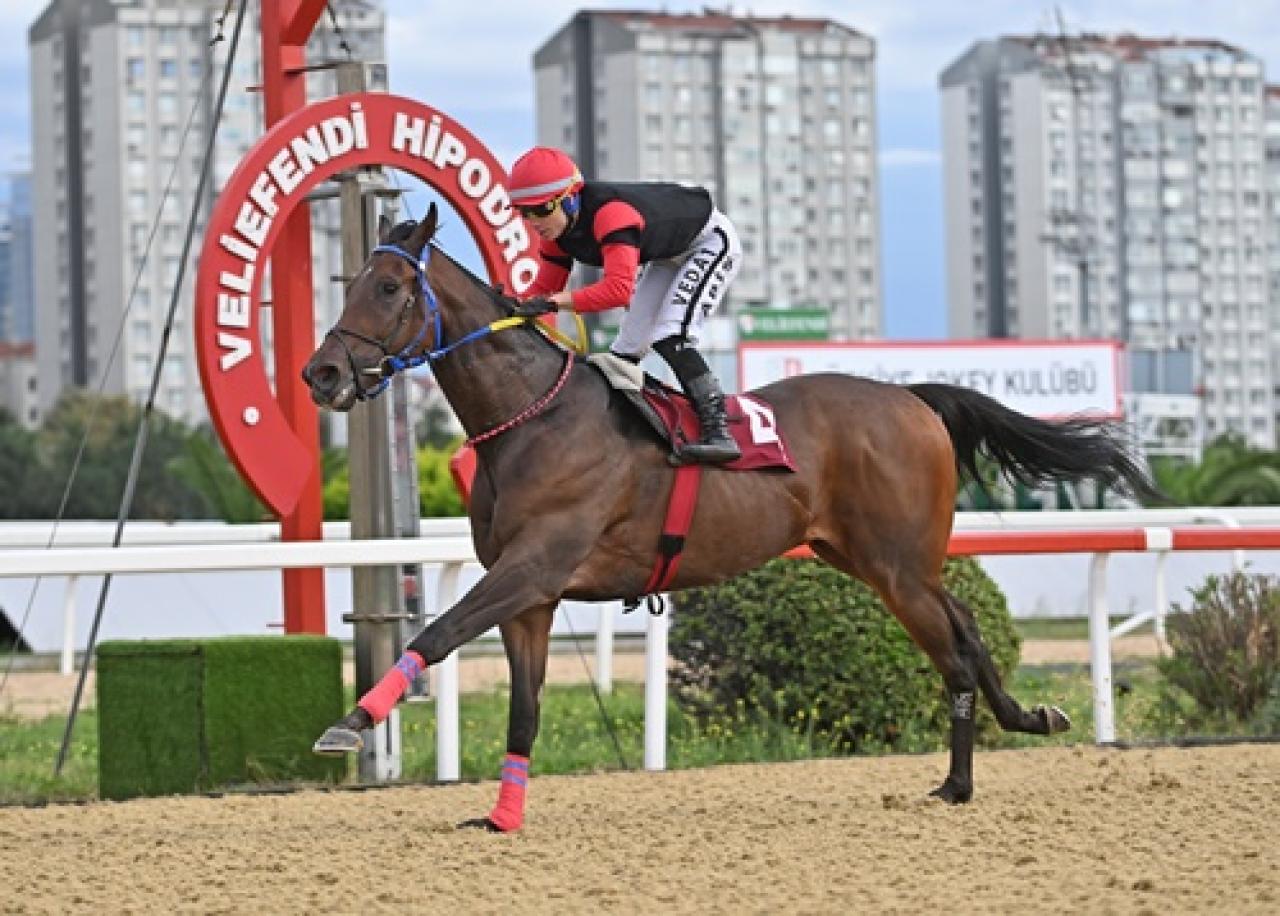 Burhan Şenemgen Koşusu'nda birinciliğe Reflected Glory uzandı