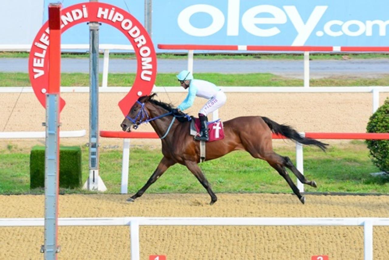 Vâlâ Sidar Koşusu’nda kazanan Splendid oldu