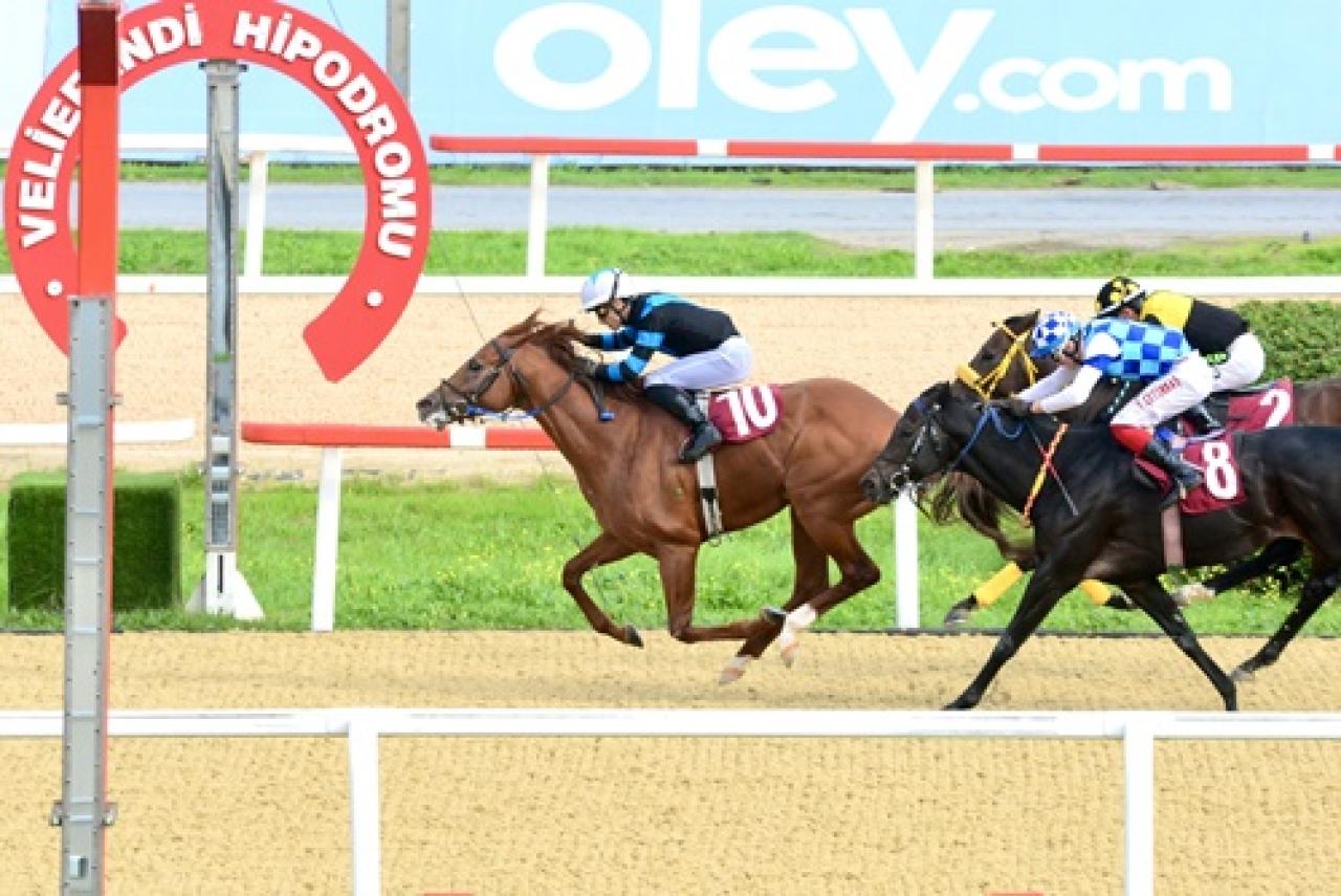 Nur Kutnak Koşusu'nda kazanan Dragon Blue oldu