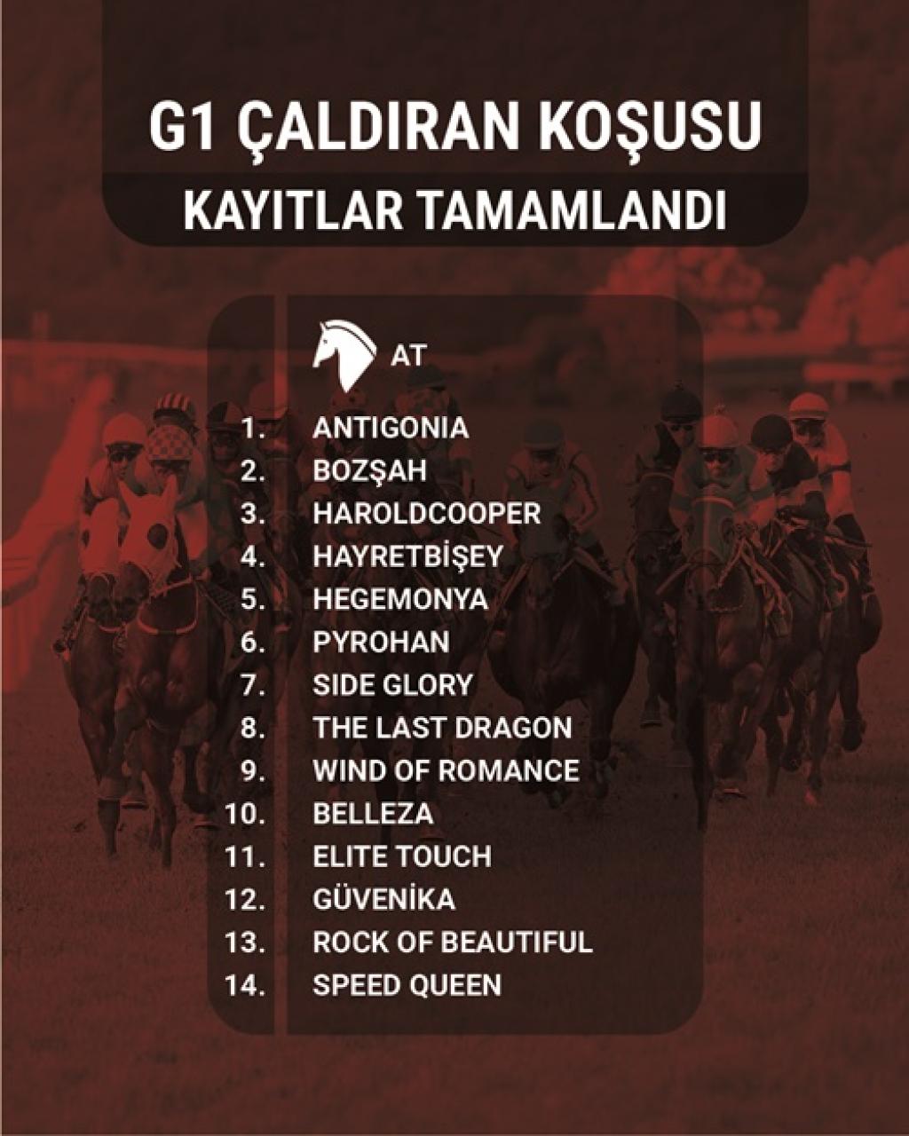 89. Çaldıran Koşusu'nda kayıtlar belli oldu