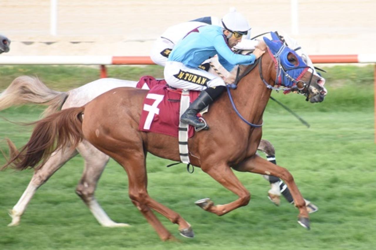 Anadolu Spor Gazetecileri Derneği Bursa Şubesi Koşusu'nu Saraytay kazandı