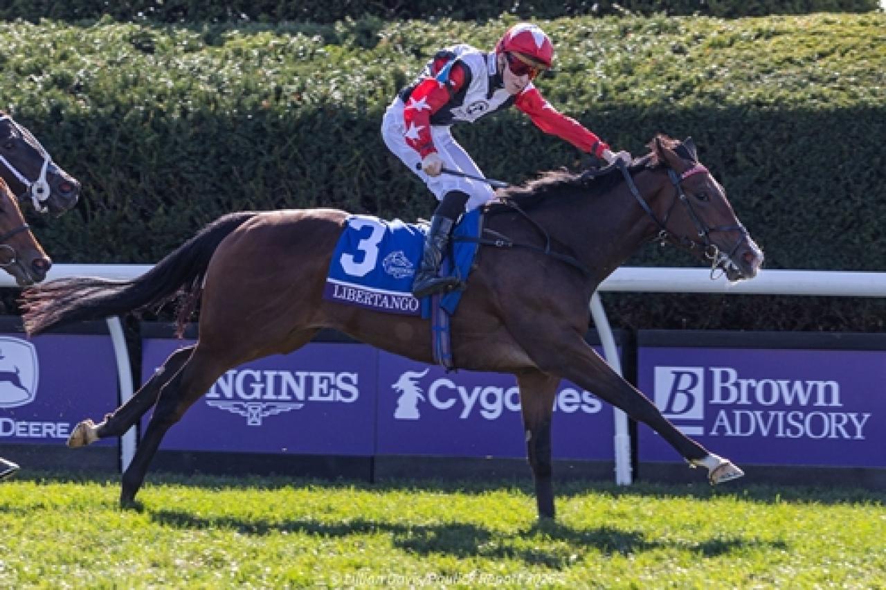Aracı Ekürisi’nden Breeders’ Cup Juvenile Turf Sprint Galibiyeti