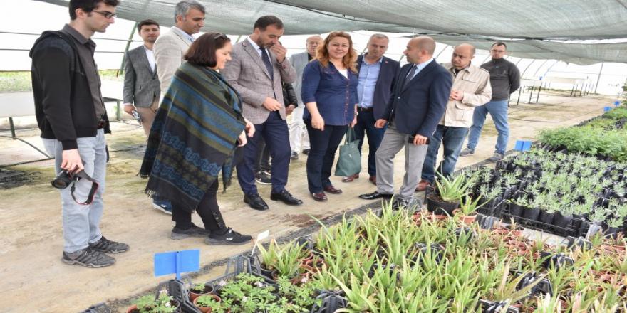 BAŞKAN YILMAZ TÜRAM’I İNCELEDİ