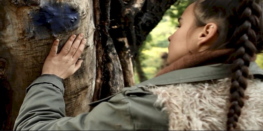 17. ULUSLARARASI ÇEVRE KISA FİLM FESTİVALİ SONUÇLARI AÇIKLANDI