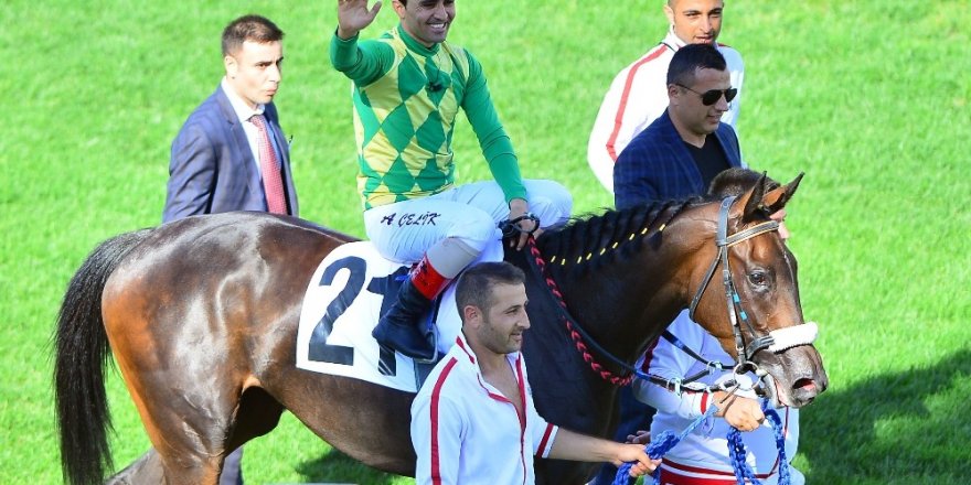 93. Gazi Koşusu’nu Ahmet Çelik’in jokeyliğini yaptığı The Last Romance isimli at kazandı.