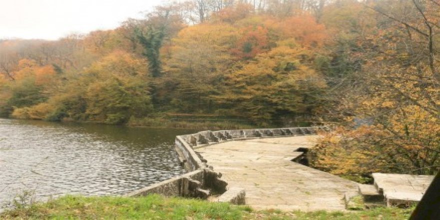 Ayvat Bendi Tabiat Parkı'na Modern Yaşam Alanı kuruluyor