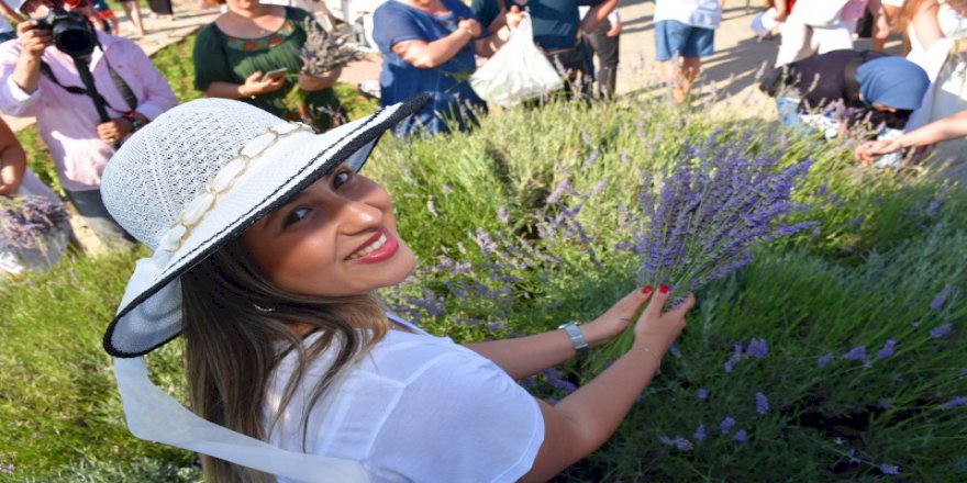 SİLİVRİ’DE GÖRKEMLİ LAVANTA ŞENLİĞİ