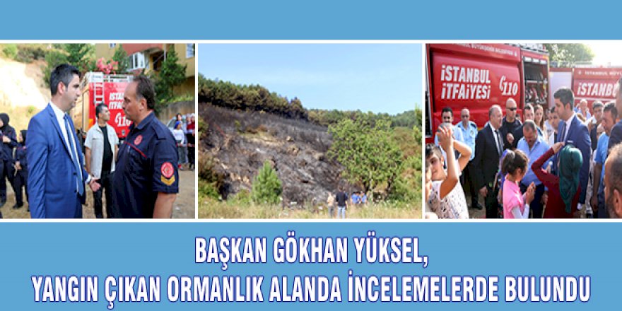 BAŞKAN GÖKHAN YÜKSEL, YANGIN ÇIKAN ORMANLIK ALANDA İNCELEMELERDE BULUNDU