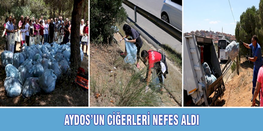 AYDOS'UN CİĞERLERİ NEFES ALDI