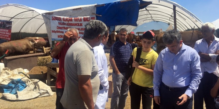 İstanbul İl Tarım Ve Orman Müdürlüğü’nden Kurban Pazarında Denetim