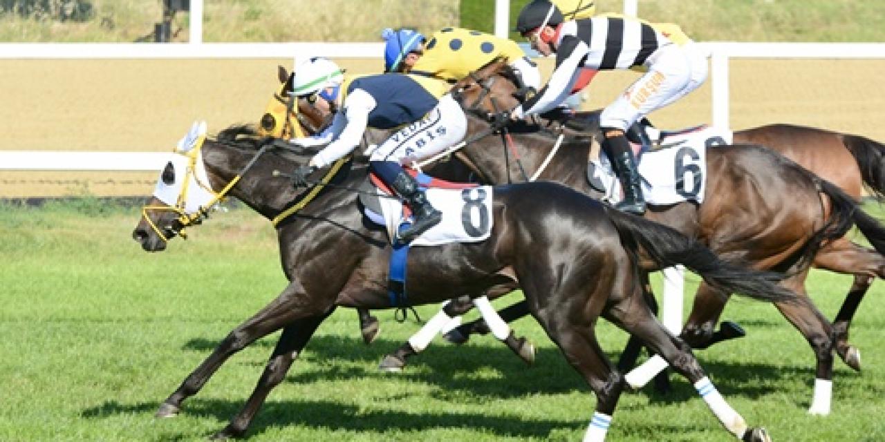 Özdemir Atman Koşusu'nu Star Runner kazandı
