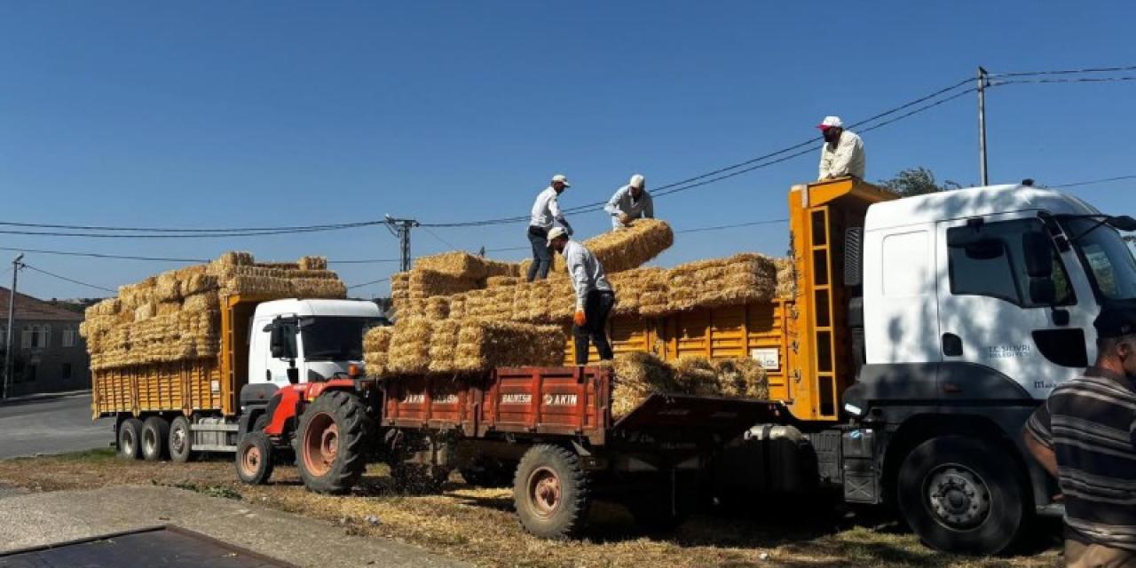 Silivri Belediyesi'nden Üreticilere Saman Balyası Desteği