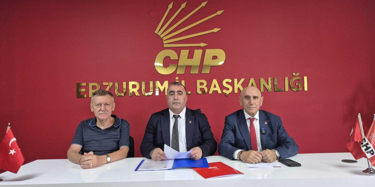 Yıldırım Kaya: 