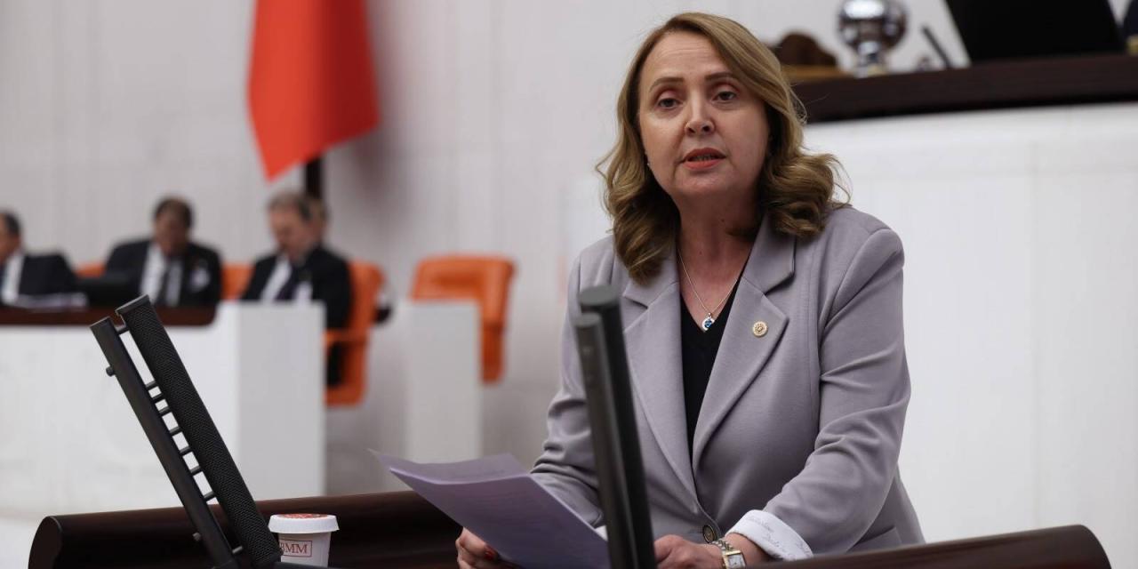 Semra Dinçer’den Bütçe Tepkisi: “Saray Harcarken Vatandaşa Kemer Sıkma Düşüyor”