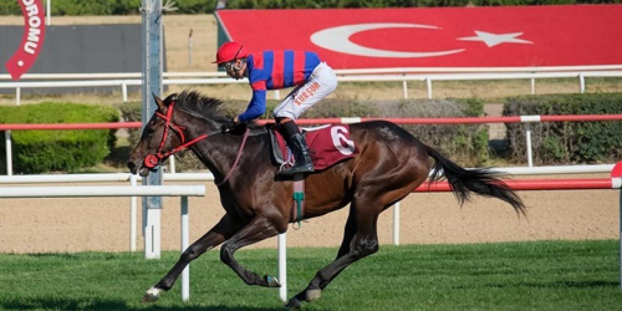 Yalçın Batur Koşusu'nu Victory Waltz kazandı