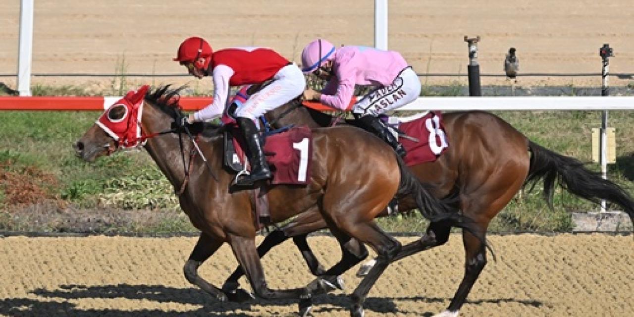Sedat Üründül Koşusu'nda kazanan Theater Of War oldu