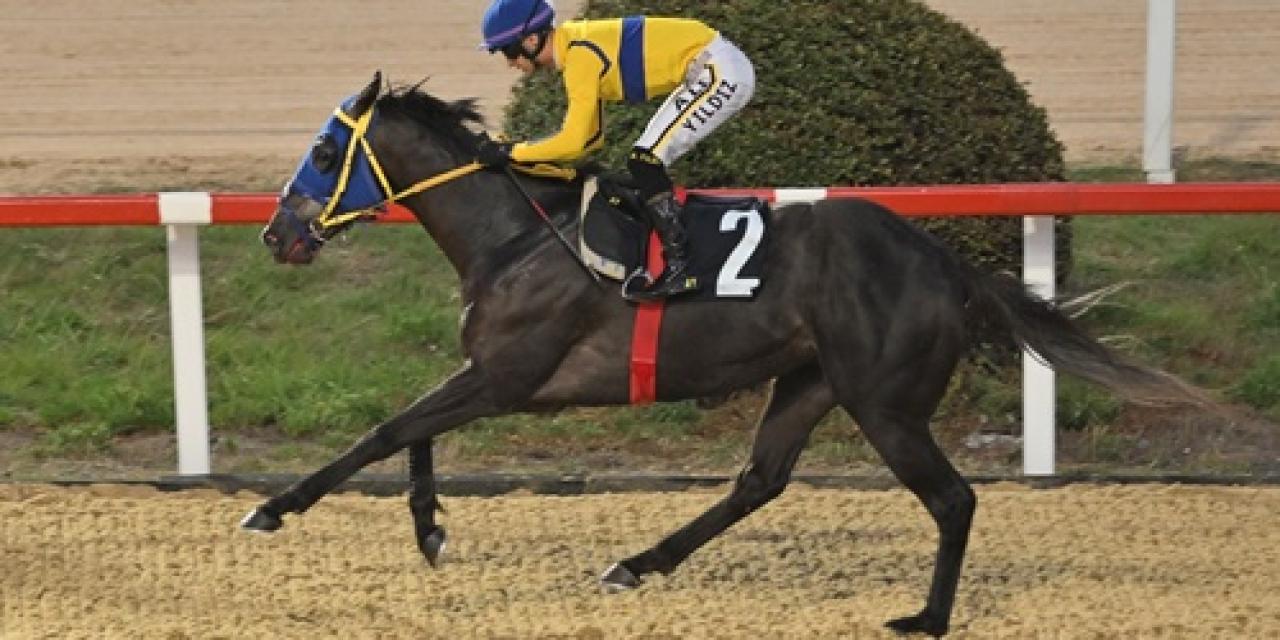 Horse Racing Ireland Koşusu’nda galibiyetin adı True Blu