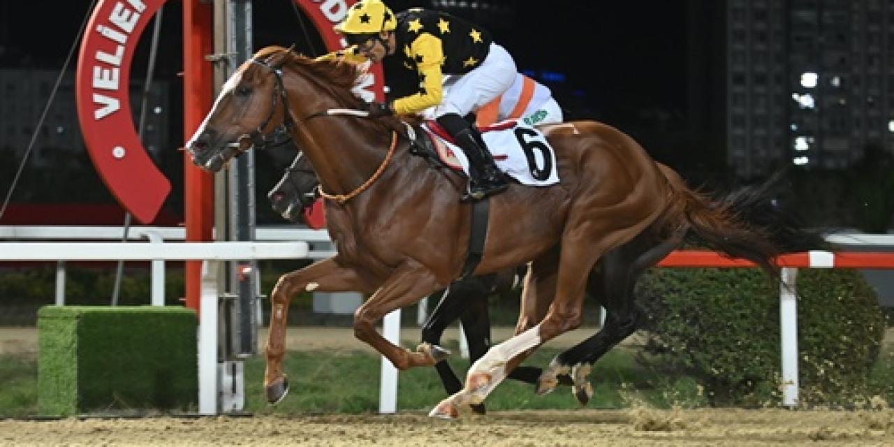 Uluslararası France Galop Anadolu Koşusu’nda galibiyete uzanan Poetry In Motion oldu