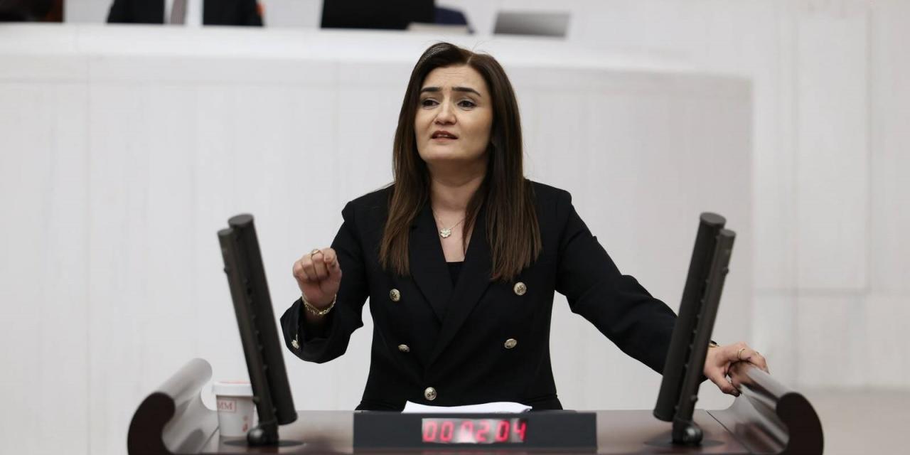 Sevda Erdan Kılıç: 