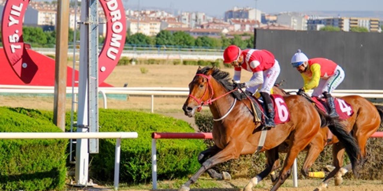 Şerife Bacı Koşusu'nda kazanan Tom Raider oldu