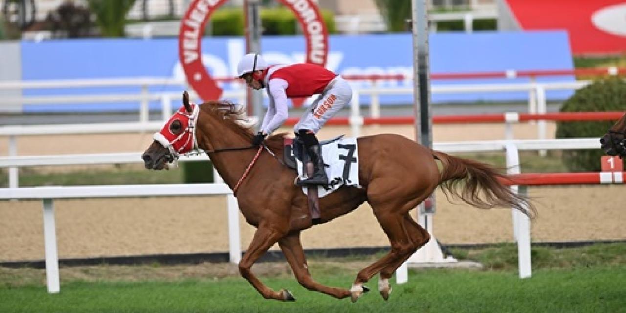 73. Türkiye Jokey Kulübü Koşusu’nda zaferin adı Etsuko