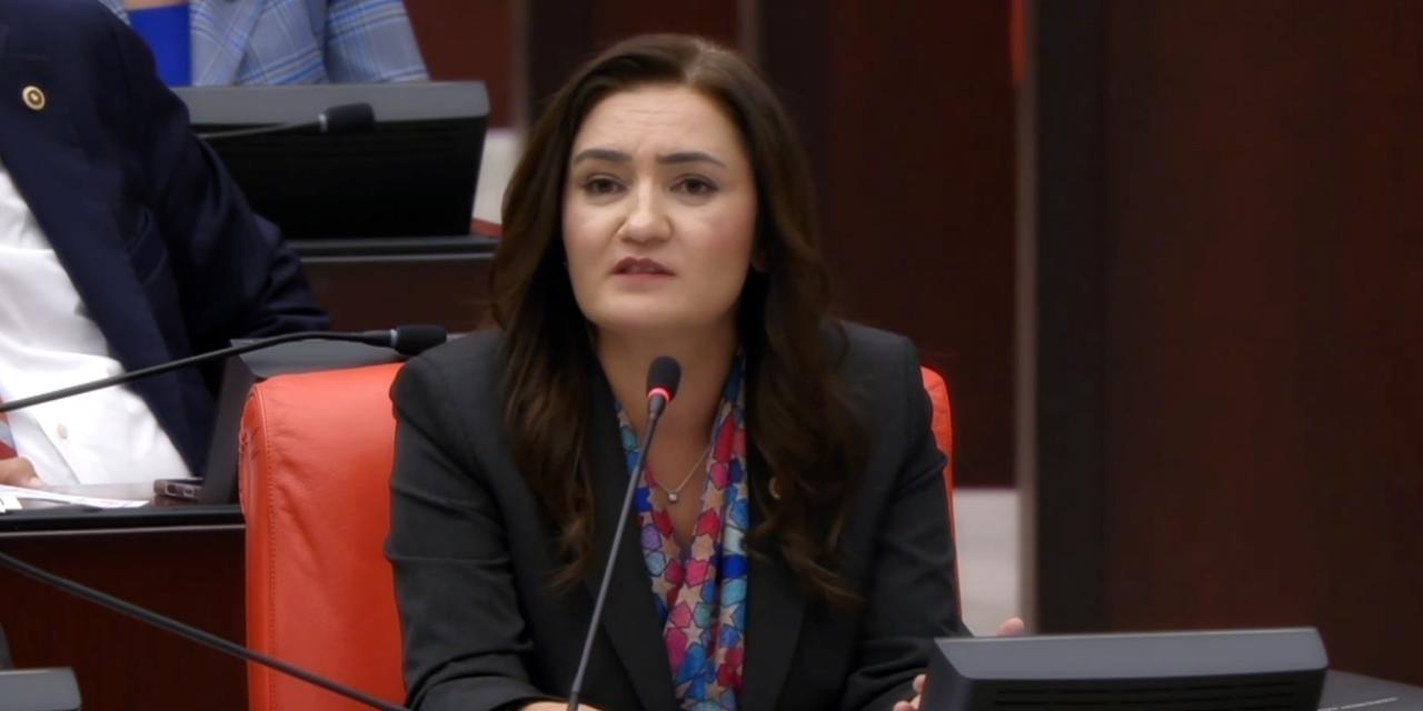 Sevda Erdan Kılıç'tan Fon Krizi Tepkisi: 